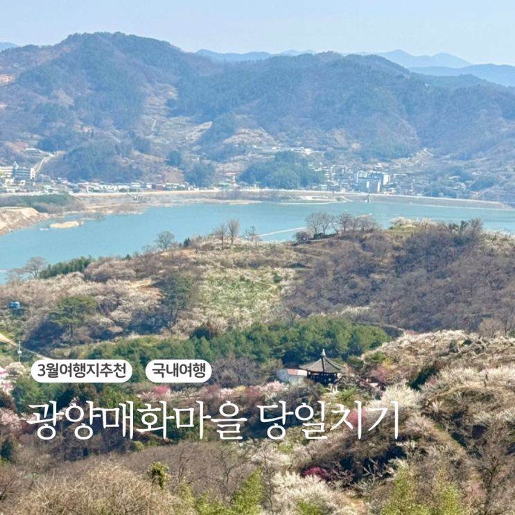  3월 여행지 추천 광양매화마을 당일치기 여행 후기