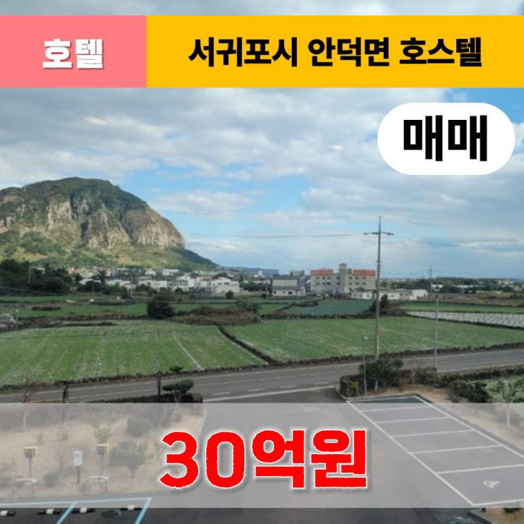  《제주도호텔매매》 서귀포시 안덕면 산방산 인근 호스텔 매매