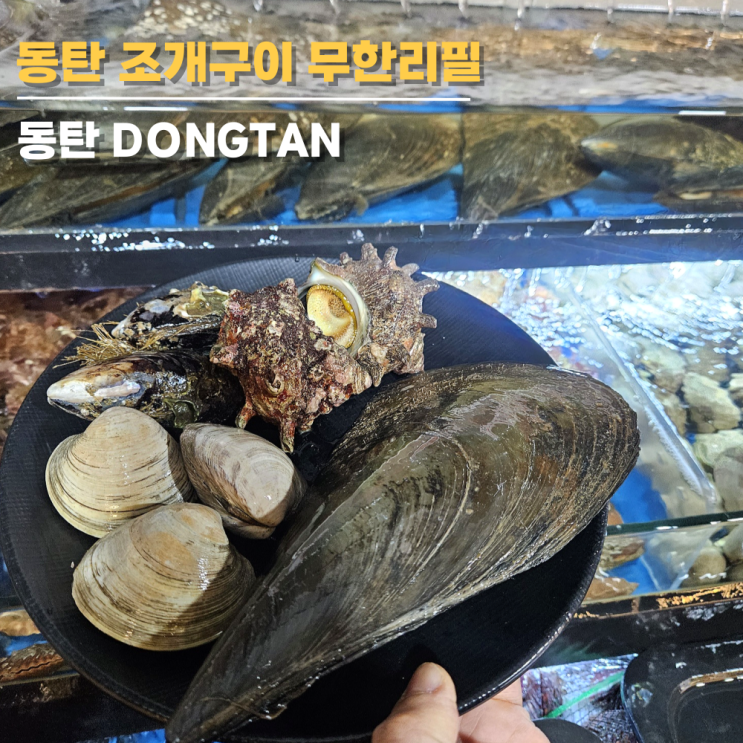 동탄 조개구이무한리필, 동탄역조개구이 가성비 미쳤다 동탄 조개구이무한리필, 동탄역조개구이 가성비 미쳤다