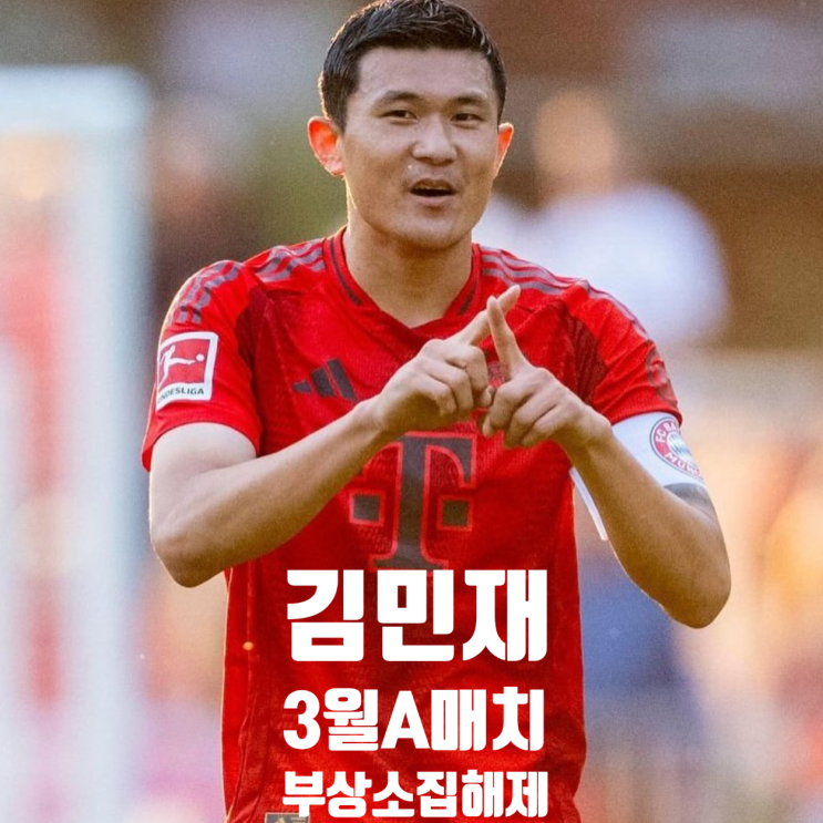 김민재 부상 <b>소집 해제</b> 대체 선수 김영권 김주성 ? 홍명보호... 