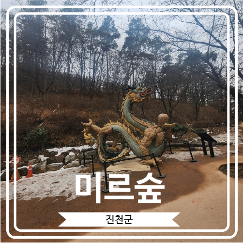  [미르숲] 산책하기 좋은 충북 진천의 힐링 명소