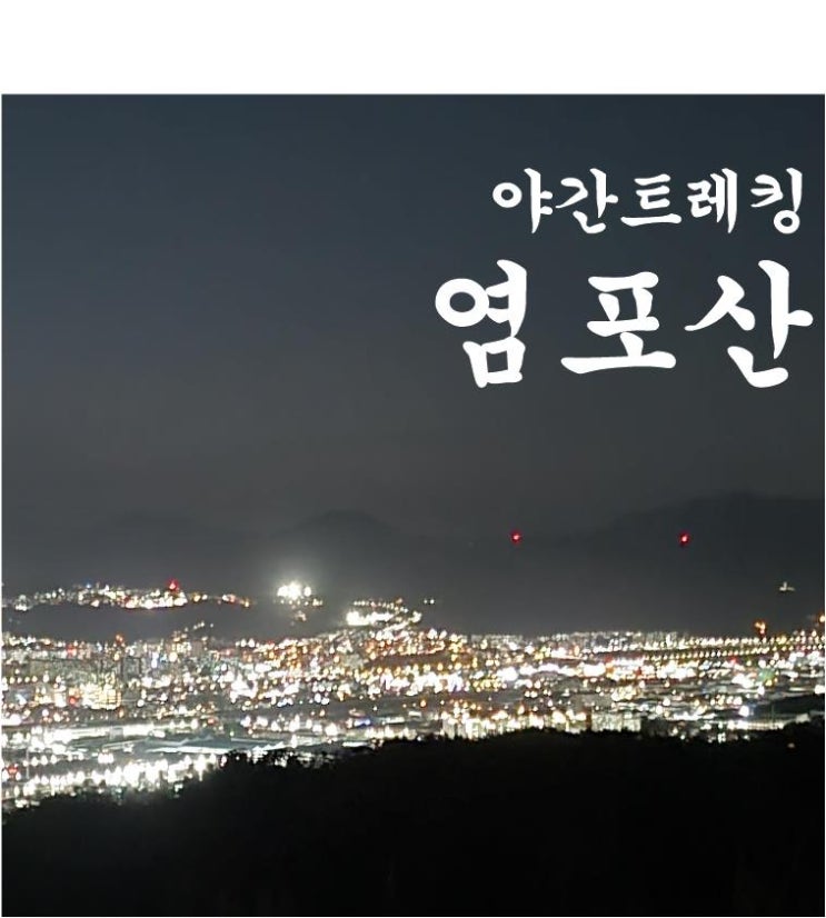  【울산북구】울산 야경을 볼 수 있는 염포산 야간 트레킹