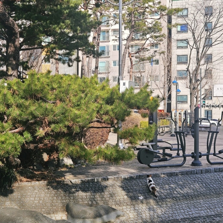'25. 여섯번째 일상, 몸과 마음의 균형을 잡자️
