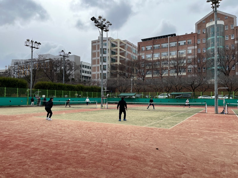 경북대학교 테니스장 3