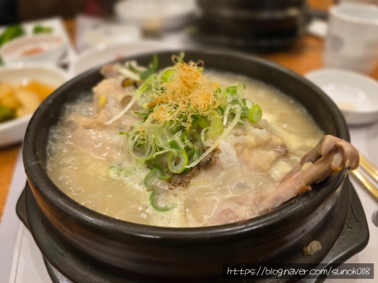  마두동 삼계탕 일산병원 근처 밥집 삼계보감