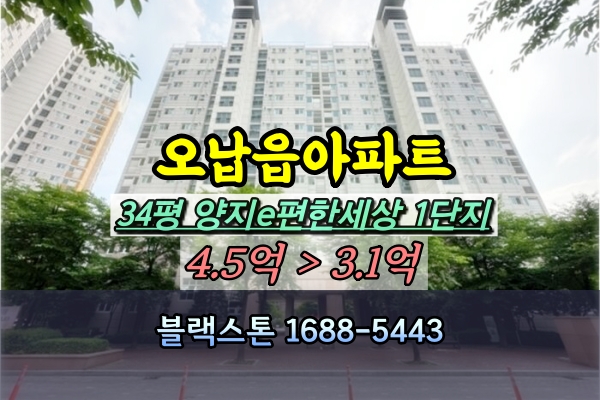  오남읍아파트경매 남양주양지e편한세상 1단지 34평