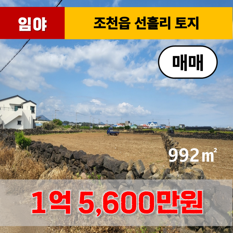  《제주도 토지》 제주시 조천읍 선흘리 토지 매매