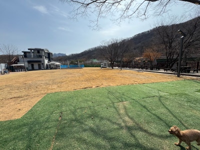 사진 5