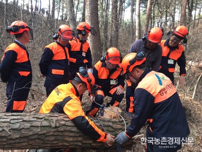  공공산림가꾸기 (숲가꾸기패트롤) 사업: 공익 근로자 모집 안내