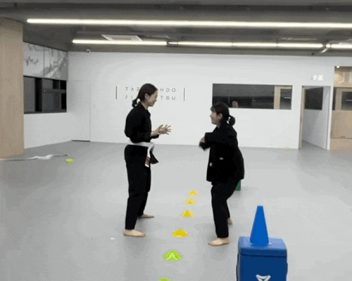   대전 주짓수, 유성구 주짓수, 대전 용산동 주짓수 – 움직임이 운동입니다!   용산 JIN 주짓수 클럽