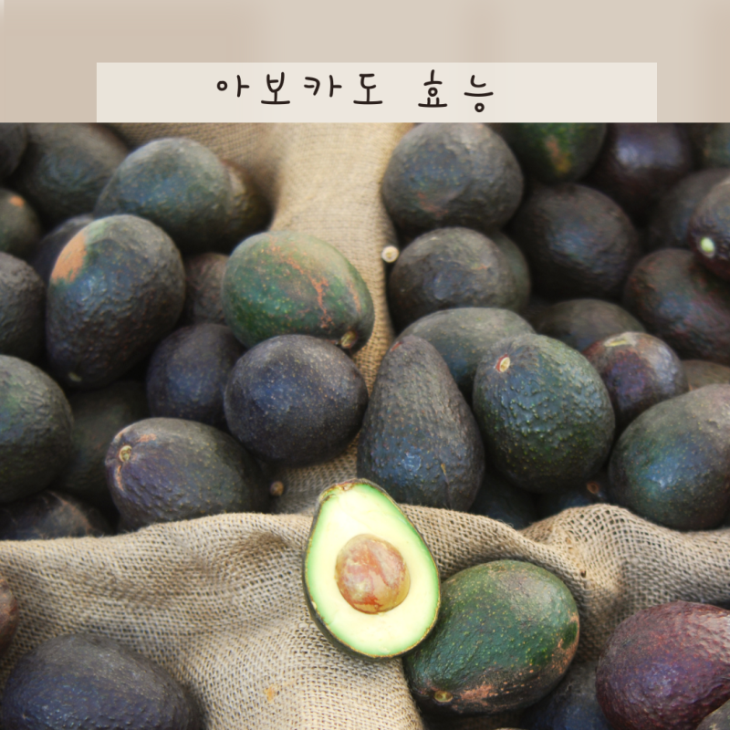 아보카도 효능 부작용 칼로리 영양성분, 아보카도 오일 캡슐 효능 다섯가지