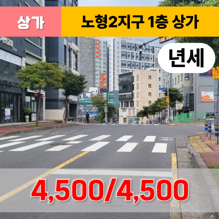  《제주도상가》 제주시 노형2지구 1층 상가 임대