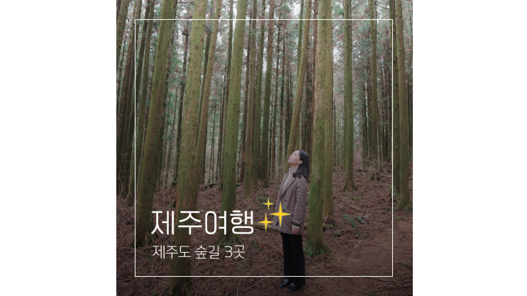  절물자연휴양림 비자림 사려니숲길ㅣ 제주도 동쪽 걷기좋은 숲길 트레킹코스