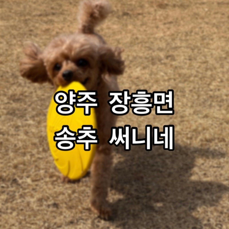 사진 4