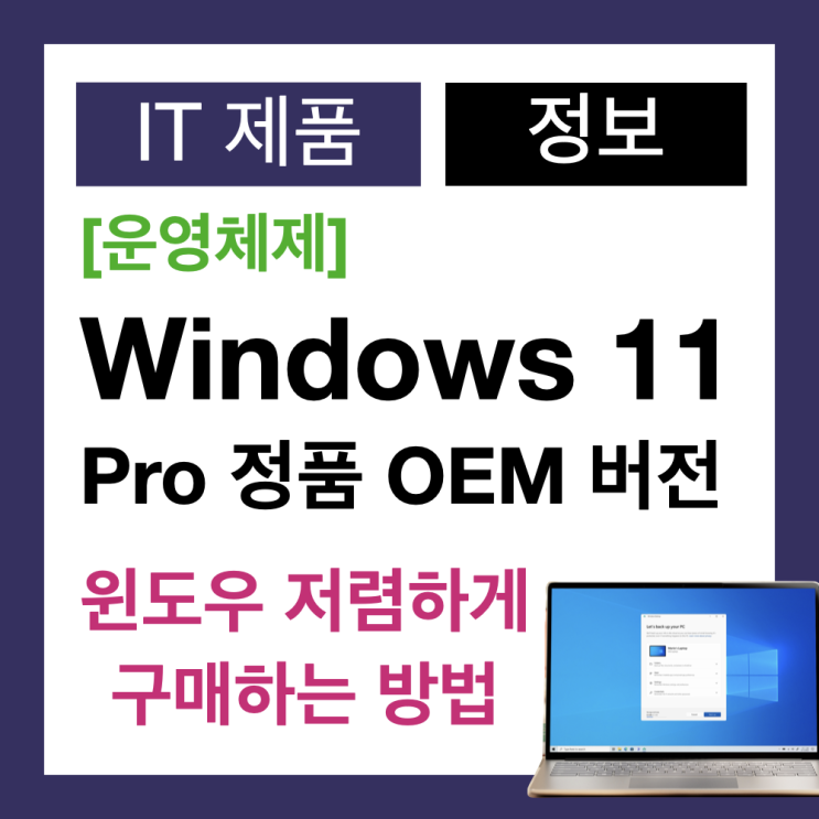 윈도우 11 프로 정품이 필요할때 할인된 가격으로 Windows 11 키 구매하는 꿀팁(SCDKEY) 윈도우 11 프로 정품이 필요할때 할인된 가격으로 Windows 11 키 구매하는 꿀팁(SCDKEY)