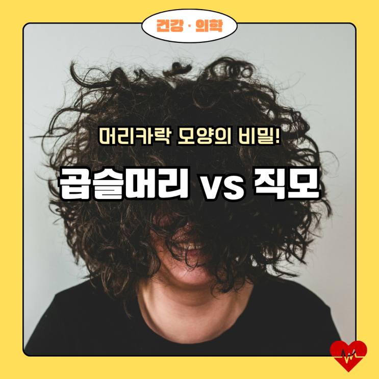  곱슬머리 vs 직모, 왜 다를까? 머리카락 모양의 비밀!