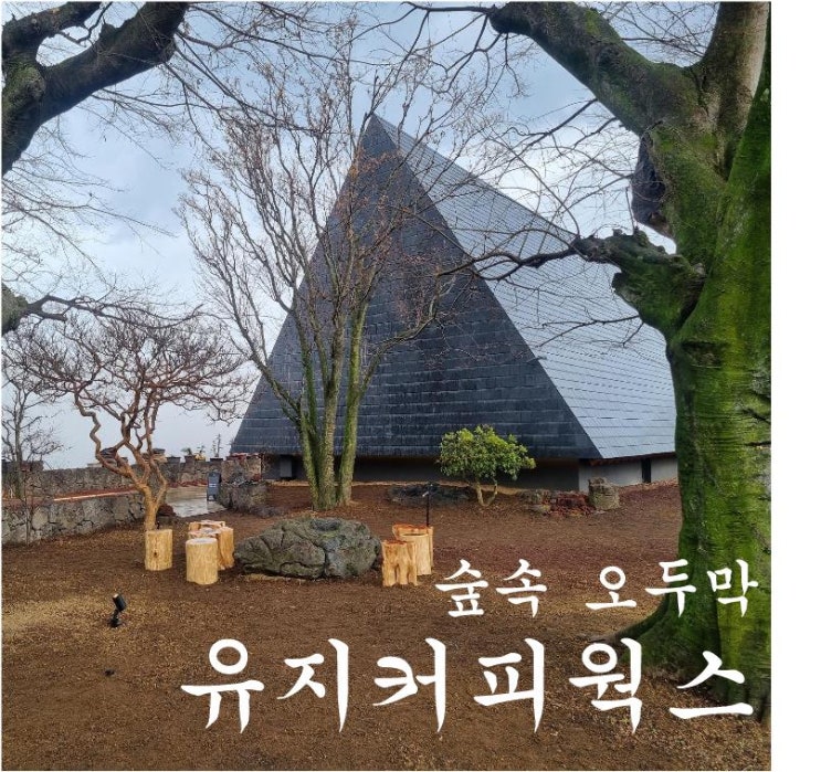  【제주오라동카페】 제주공항근처카페 유지커피웍스 숲속 오두막 같은 카페
