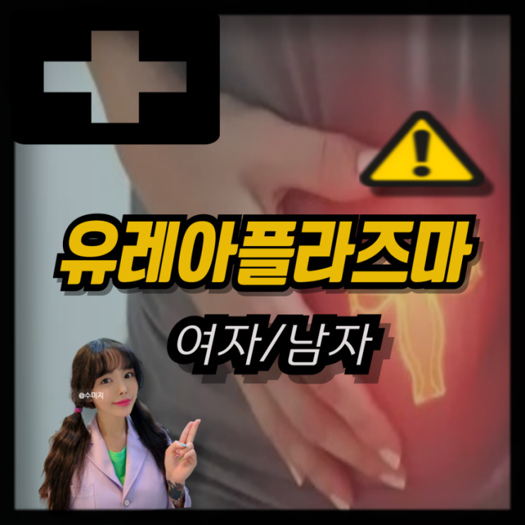  유레아플라즈마 원인 치료 여자 남자 유레아플라즈마 증상