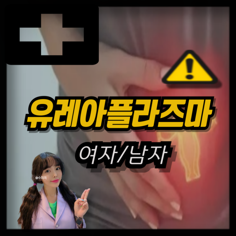 유레아플라즈마 원인 치료 여자 남자 유레아플라즈마 증상