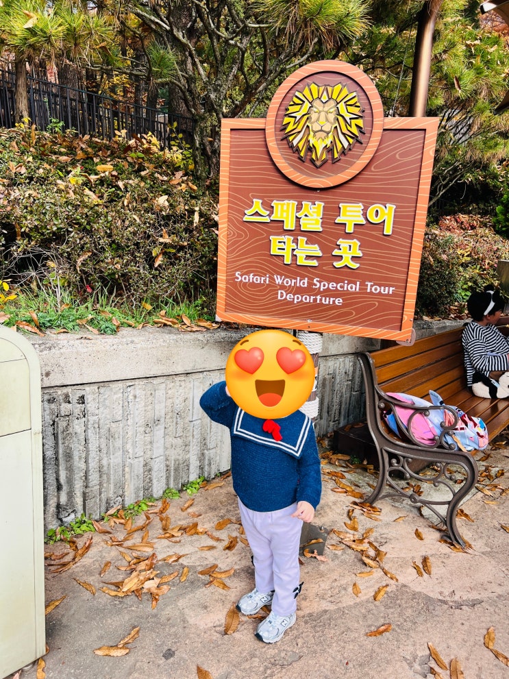  에버랜드 사파리 스페셜투어 솔직 후기! 동물 먹이 주고 가까이에서 본 경험