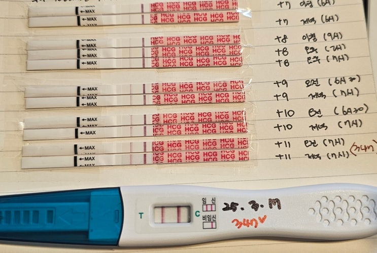  [난임일기] 시험관 2차 3일배양 동결3개배아 이식 후 1차피검 수치 및 임테기