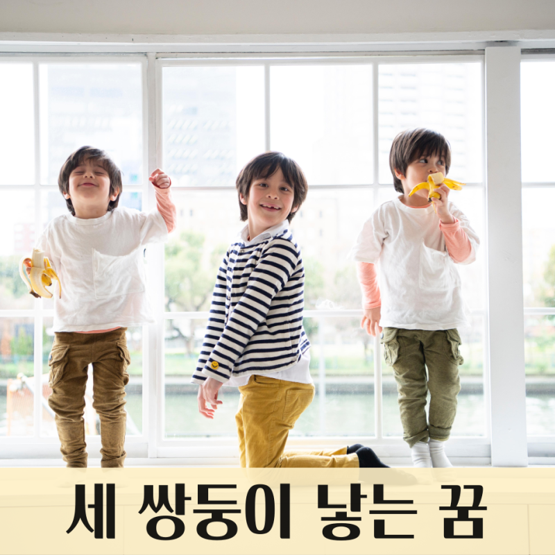 남자 세 쌍둥이를 낳는 것을 본 꿈 : 복권 로또 당첨 꿈
