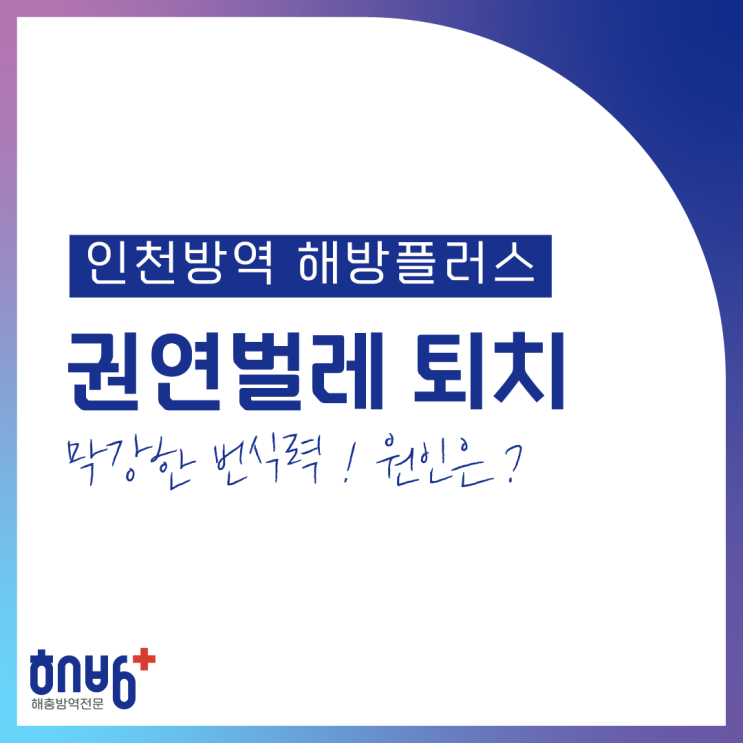  권연벌레 퇴치와 원인은? 인천방역 해방플러스