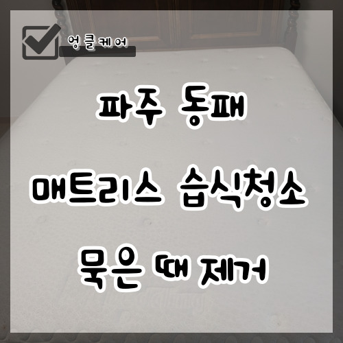 매트리스 습식청소 오래된 매트리스 묵은때 제거 파주 동패