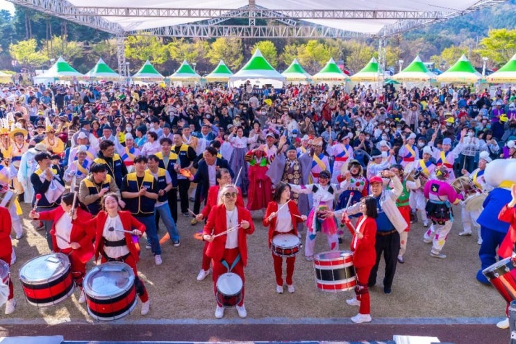  고령대가야축제 완전 정복! 볼거리, 체험, 먹거리 총정리
