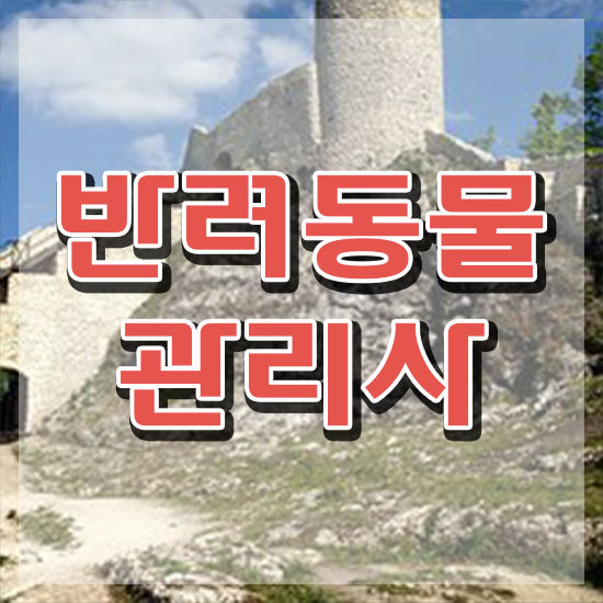  반려동물관리사 학원 , 반려동물관리사 취득한 방법