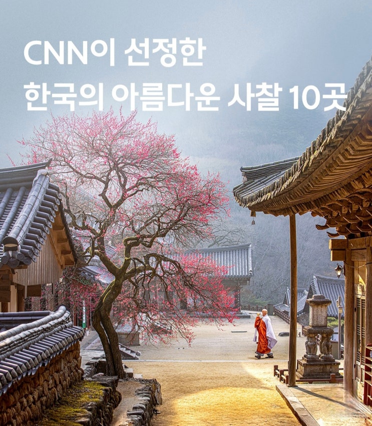 정책지식 2025.3.17.