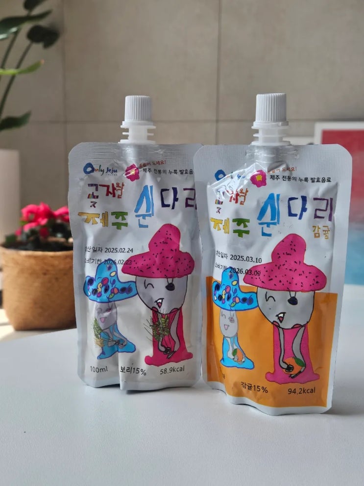  곶자왈 제주 쉰다리 식물성 발효음료로 건강챙기기