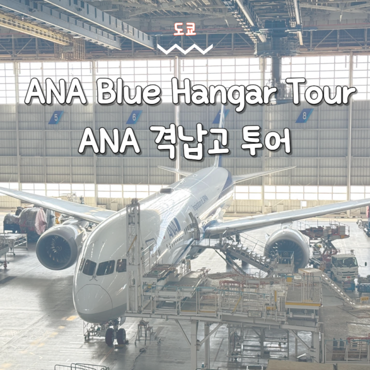  도쿄 가볼만한곳 여행 코스 하네다 공항 ANA 격납고 투어 Blue Hangar