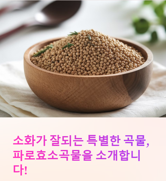  파로효소곡물이란? 건강한 소화를 위한 곡물의 비밀!