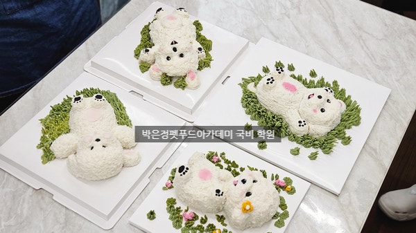  펫푸드 실무반 국비 과정 모집 중! 참여 기회 놓치지 마세요!