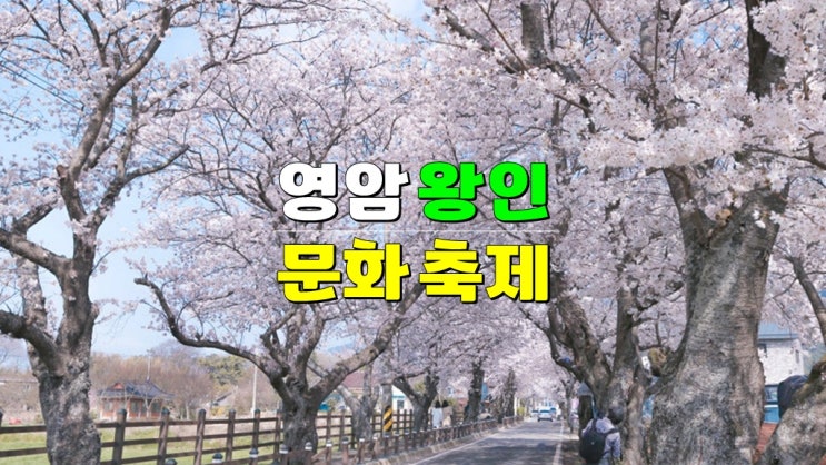 전남 염암 3월 4월 벚꽃축제 가볼만한곳 · 2025 영암왕인문화축제 기본정보 초대가수 전남 염암 3월 4월 벚꽃축제 가볼만한곳 · 2025 영암왕인문화축제 기본정보 초대가수
