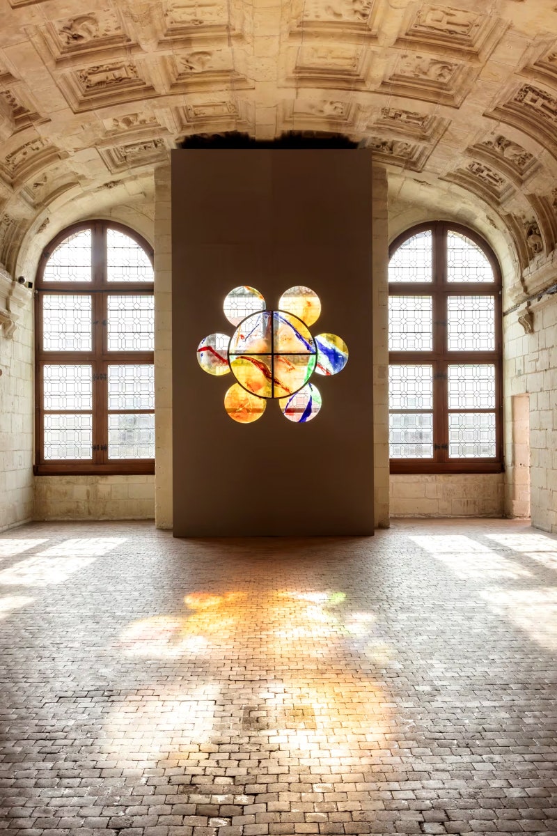 🌱 식물 성장 과정 일러스트레이션의 세계로 떠나는 여행 🌿, image size:800x1200