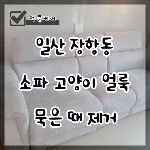  소파 세탁업체 고양이 얼룩 묵은 때 제거 일산동구 장항동