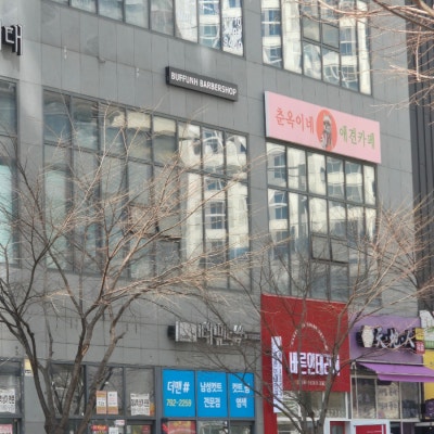 사진 2