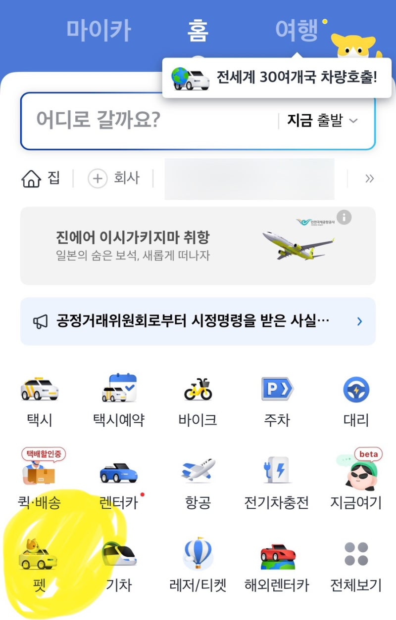 대전펫택시