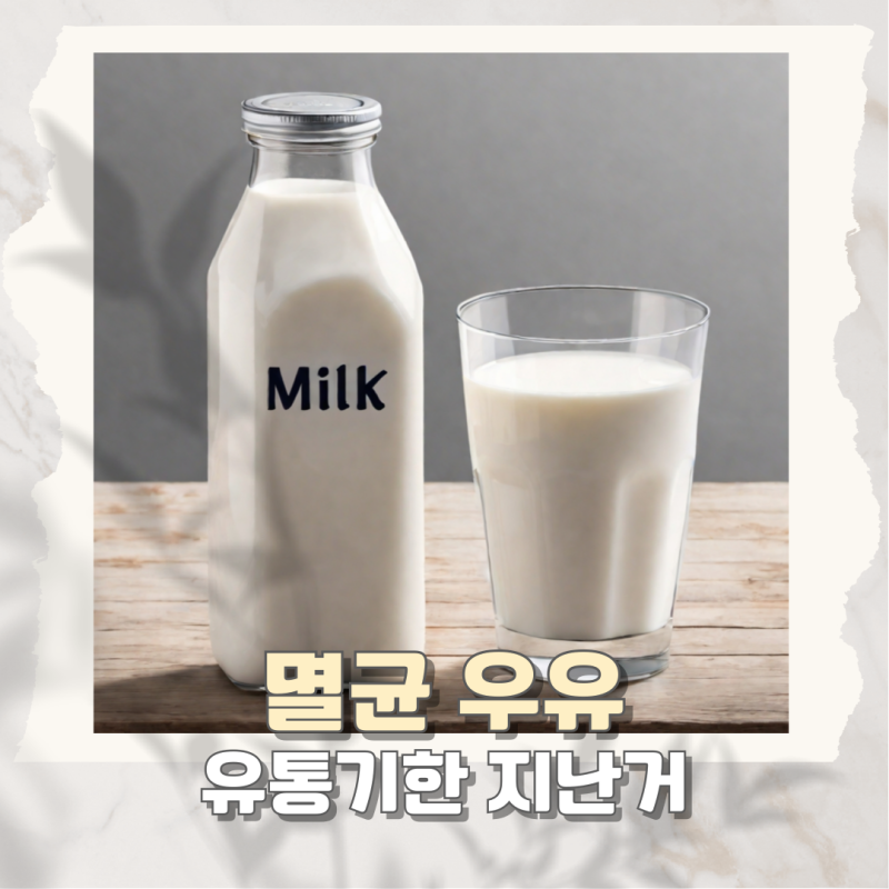 멸균 우유 유통기한 지난거 쉬운 활용법