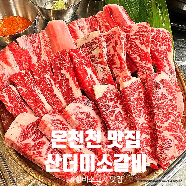  온천천 맛집 '산더미소갈비 온천천점' 안락동 가성비소고기 추천