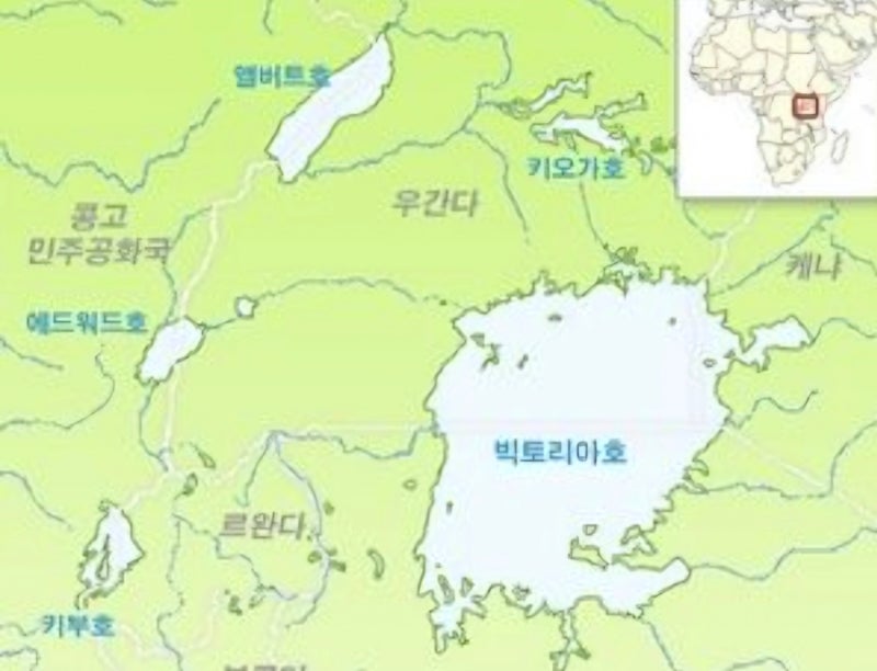 빅토리아 호수의 오염: 원인과 해결책