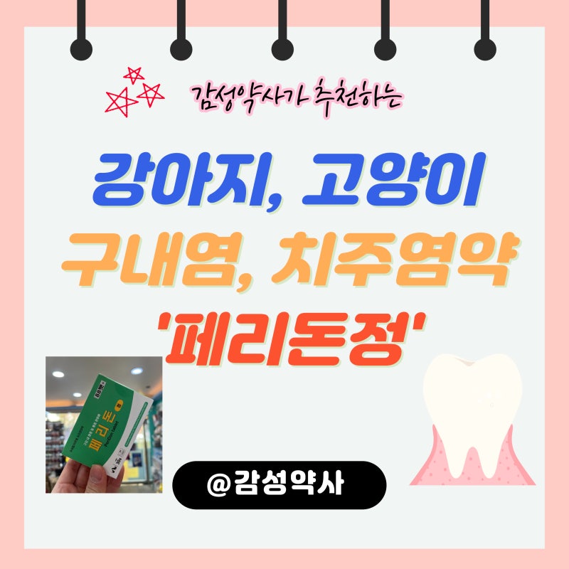 강아지, 고양이 구내염, 치주염 원인과 치료제 '페리돈정' (feat 판매약국, 부산동물약국)