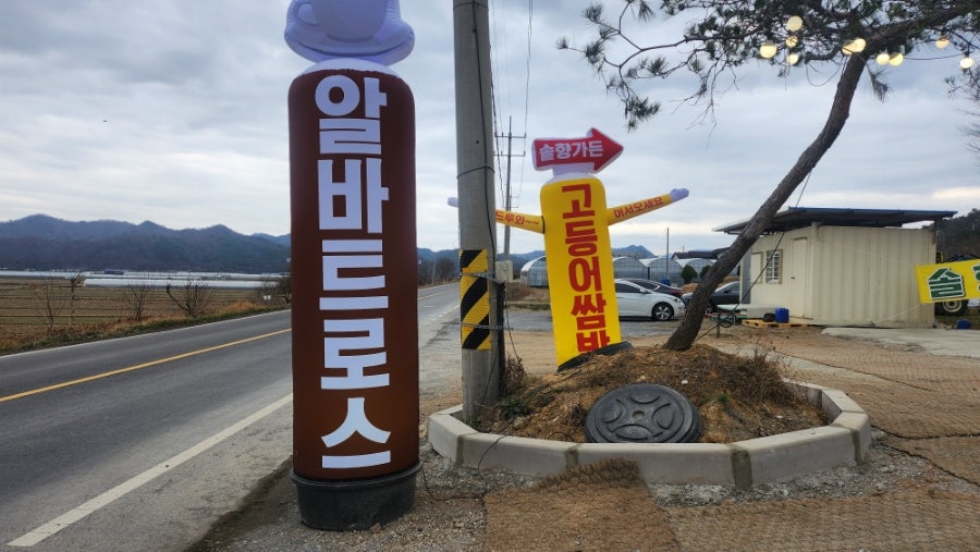 알바트로스 사진 4