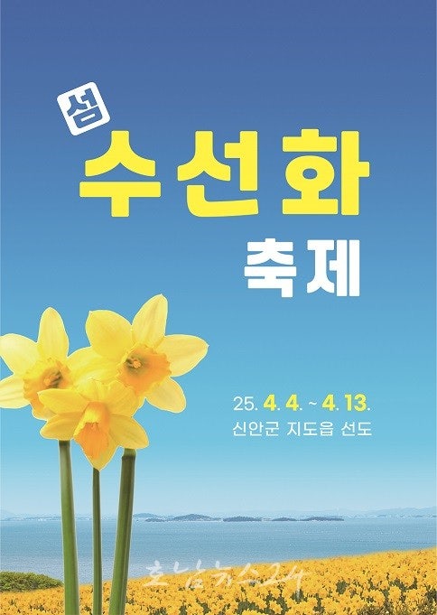  30년 전 한 여인의 손끝에서 시작된 봄의 기적..‘2025 섬 수선화 축제’ 4월 4일 개최