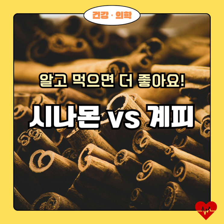  향긋한 매력! 시나몬 vs 계피