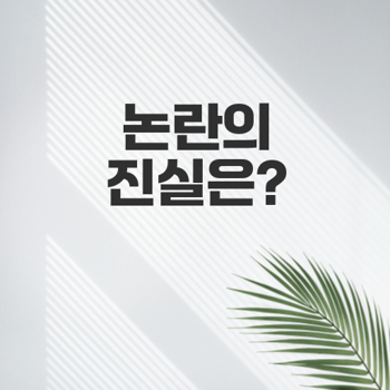<b>김수현 김새론 교제</b> 논란의 진상은