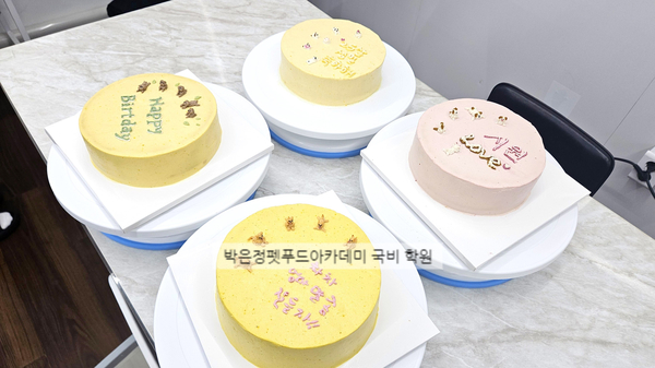  내일배움카드로 배우는 강아지 케이크 만들기! 국비지원 수업 안내