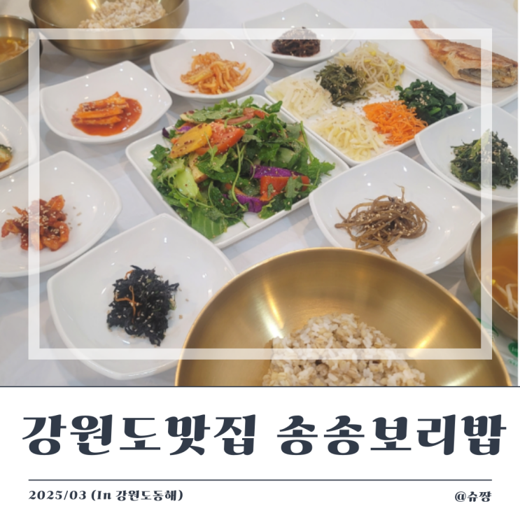  [강원도 동해 맛집] 가성비 넘치는 보리밥 한식집 '송송보리밥'